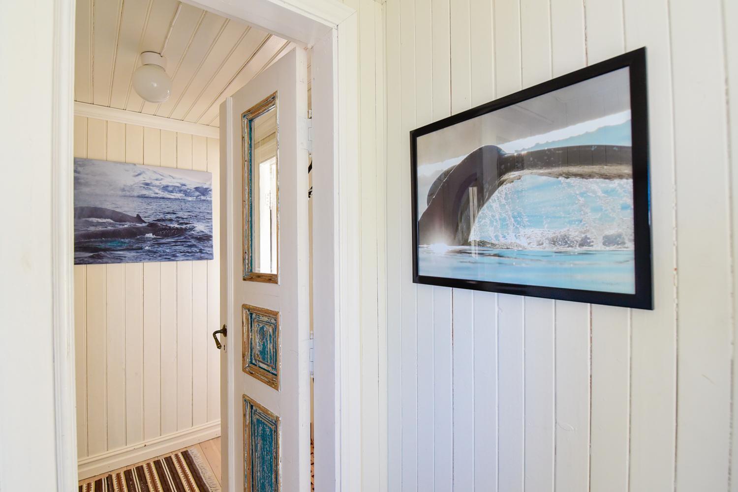 Kongsfjord Arctic Lodge المظهر الخارجي الصورة